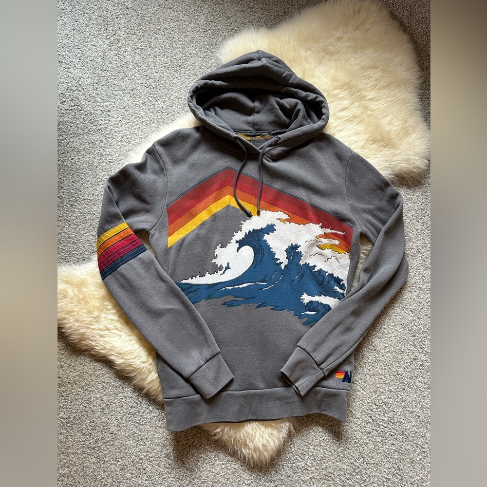 RARE Aviator Nation Sweatshirt Grey Mountain Wave XS